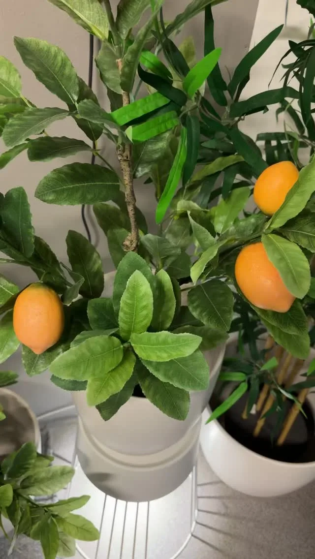 Utesäsongen är igång och vi har ett stort utbud av utemöbler i butiken ☀️

Hos oss hittar du allt från loungemöbler och matgrupper till klassiska favoriter från varumärken som Brafab, Cane-line och Grythyttan Stålmöbler.

Kom in och provsitt, känn på materialen och hitta det som passar just din uteplats bäst. På stegbo.se finns dessutom ett ännu större sortiment att inspireras av.

Välkommen in till oss på Stegbo Möbler 🌿